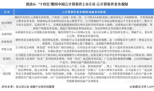 2021年云计算软件行业上市公司全方位对比 业务布局、业绩表现与未来战略分析